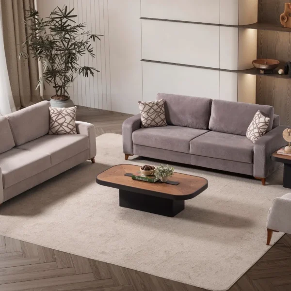 Bria Set Sofa featuring two modern convertible sofas and a high-back armchair arranged in a living room setting.
