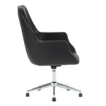 Carlos Kancelarijska Gostinska Stolica