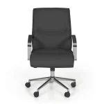 Lead Menadžer Kancelarijska Stolica