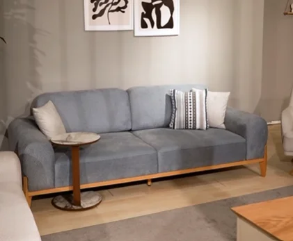 Sera Sofa Reference