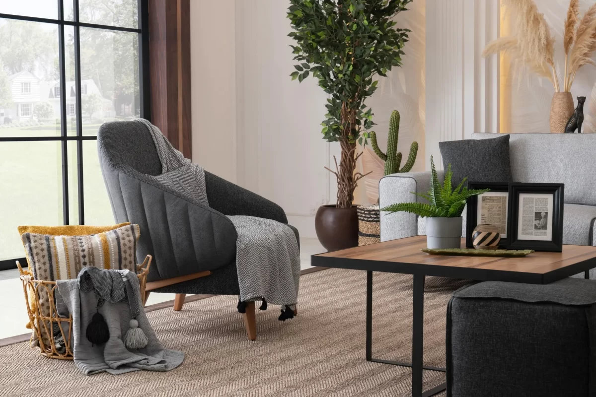 Pica Armchair - Image 3