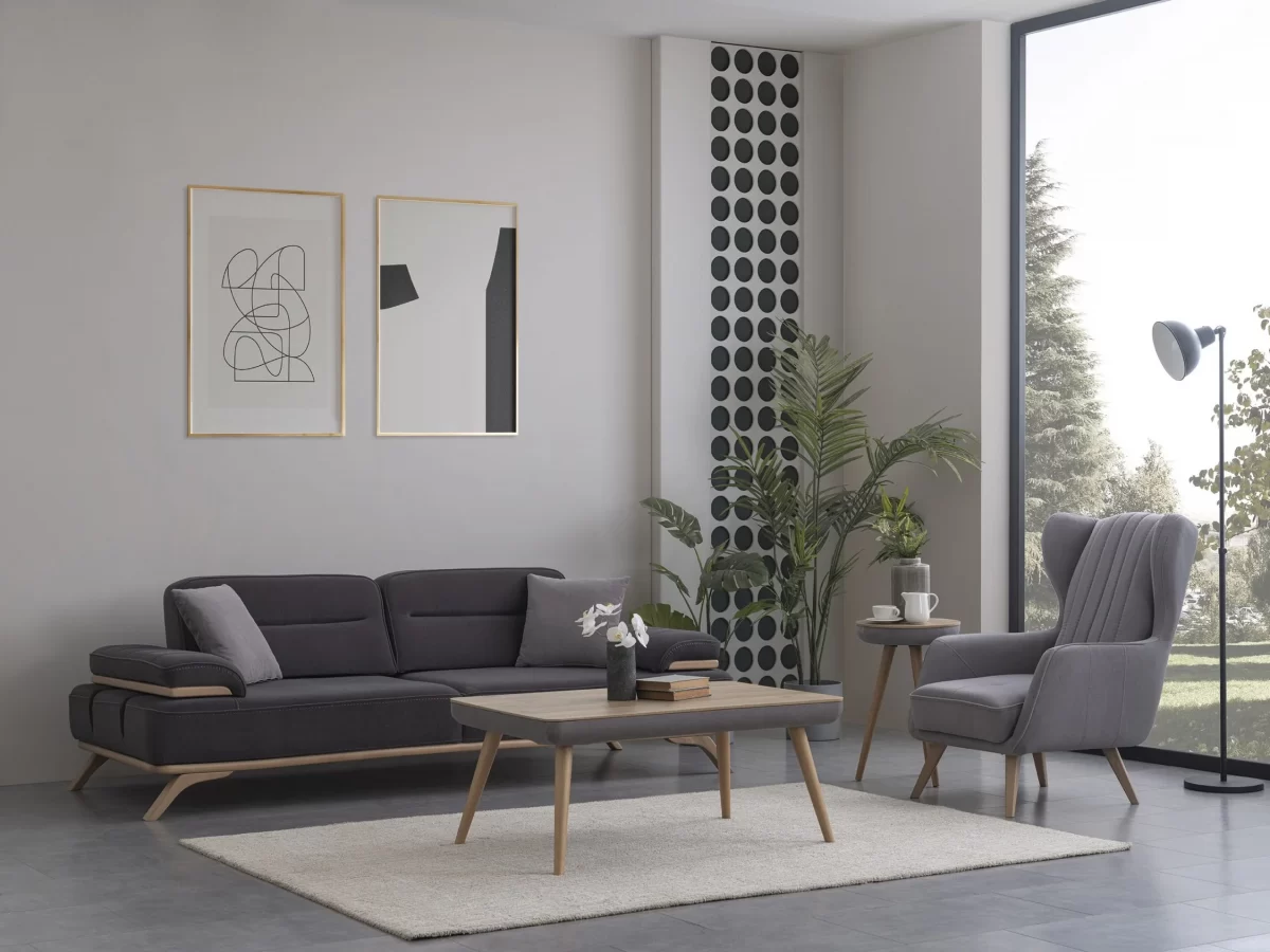 Supra Sofa Set - Image 7