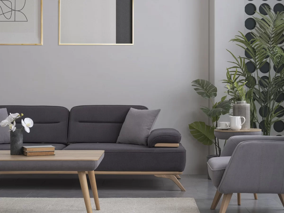 Supra Sofa Set - Image 10