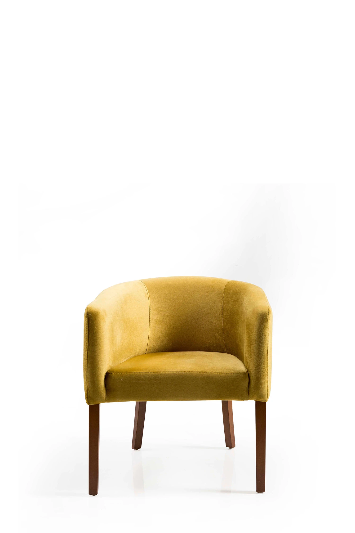 Coil Bergere - SofaTurkey Modern & Contemporary bergere Luxury bergere cafe bergere restaurant bergere Stylish, modern, and elegant bergere for hotels, cafes, and restaurants.