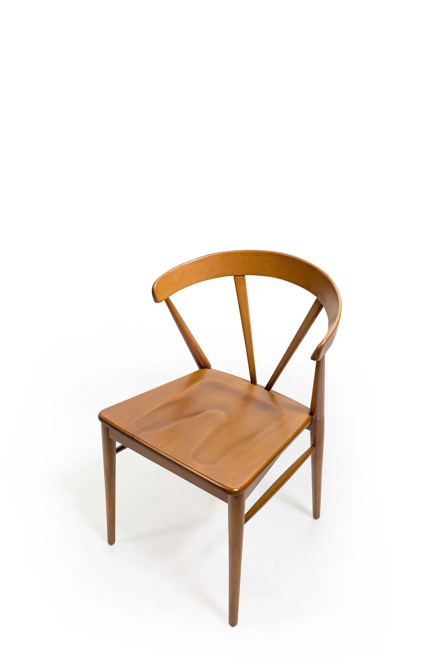 Fauna - SofaTurkey Modern & Contemporary chair Luxury chair cafe chair restaurant chair Stylish, modern, and elegant chair for hotels, cafes, and restaurants.
