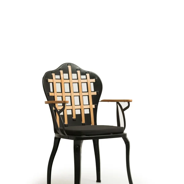 Stijlvolle, moderne en elegante stoel voor hotels, cafés en restaurants.