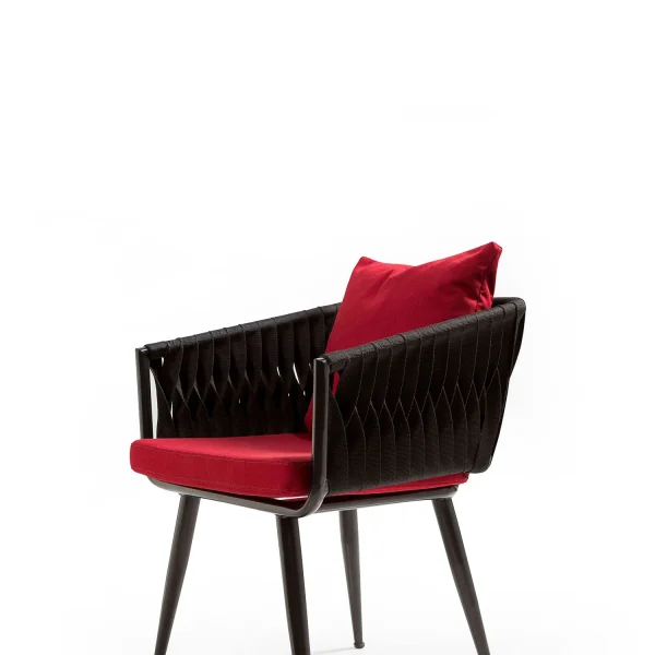 Stijlvolle, moderne en elegante stoel voor hotels, cafés en restaurants.
