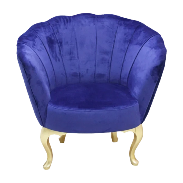 Stylish, modern, and elegant salon waiting sofas & armchairs for salon, barbar shop,