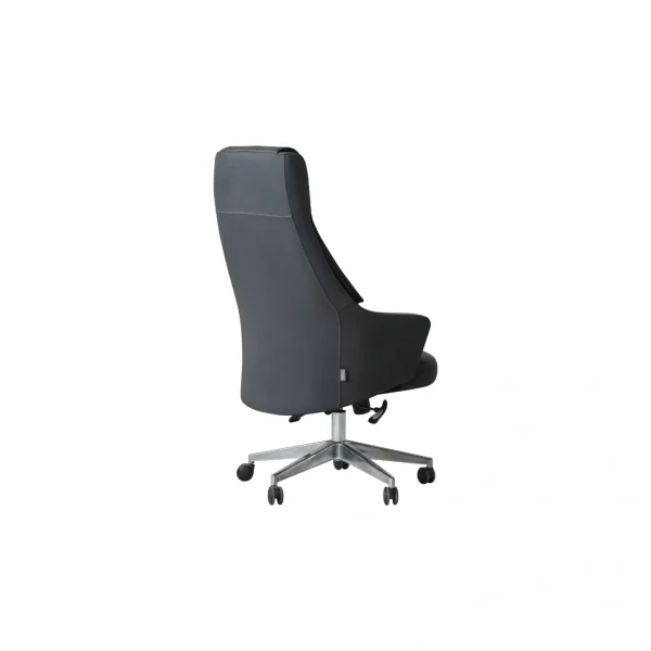 The Freya Menager Chair combines high-performance ergonomics with a stylish and futuristic aesthetic. Designed for long working hours, this chair offers superior lumbar support and effortless mobility.