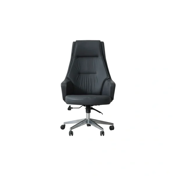 The Freya Menager Chair combines high-performance ergonomics with a stylish and futuristic aesthetic. Designed for long working hours, this chair offers superior lumbar support and effortless mobility.