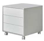 The Freya Under-Desk Storage Unit is the perfect blend of mobility and minimalist design. Keep your essentials organized and within easy reach with this premium 3-drawer unit.