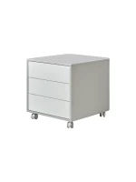The Freya Under-Desk Storage Unit is the perfect blend of mobility and minimalist design. Keep your essentials organized and within easy reach with this premium 3-drawer unit.