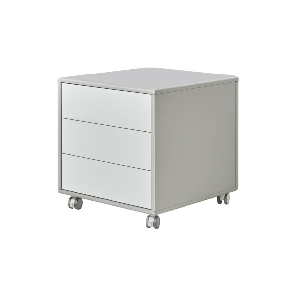 The Freya Under-Desk Storage Unit is the perfect blend of mobility and minimalist design. Keep your essentials organized and within easy reach with this premium 3-drawer unit.