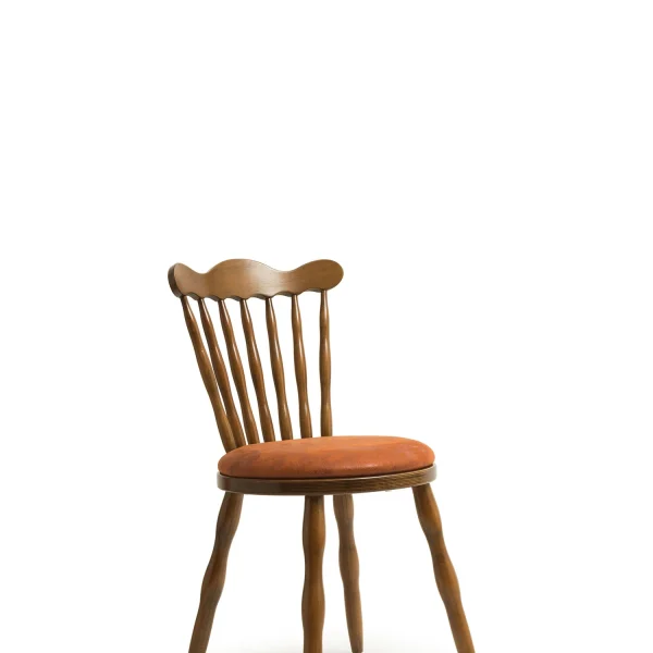 Stijlvolle, moderne en elegante stoel voor hotels, cafés en restaurants.