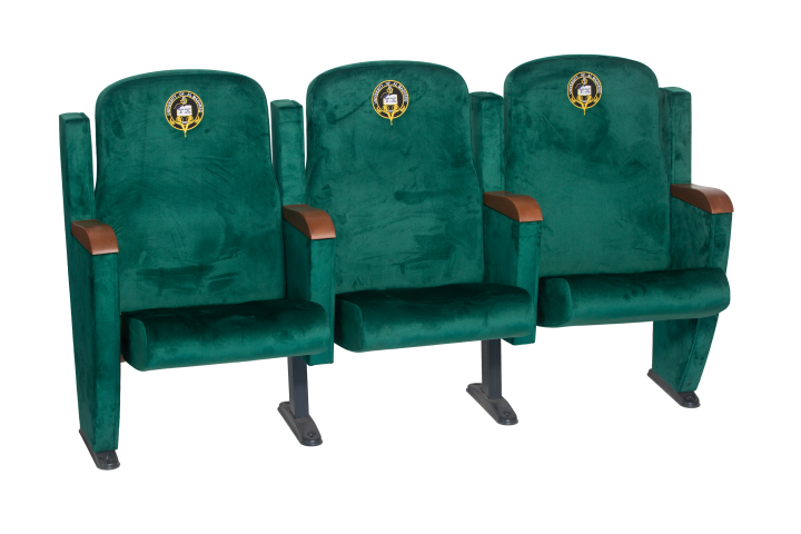 Mary-03-Amphitheater-Seat-Back-2.png Mary 03 (Back) - Image 1