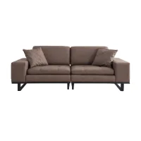 Mid Century - Modern Sofas