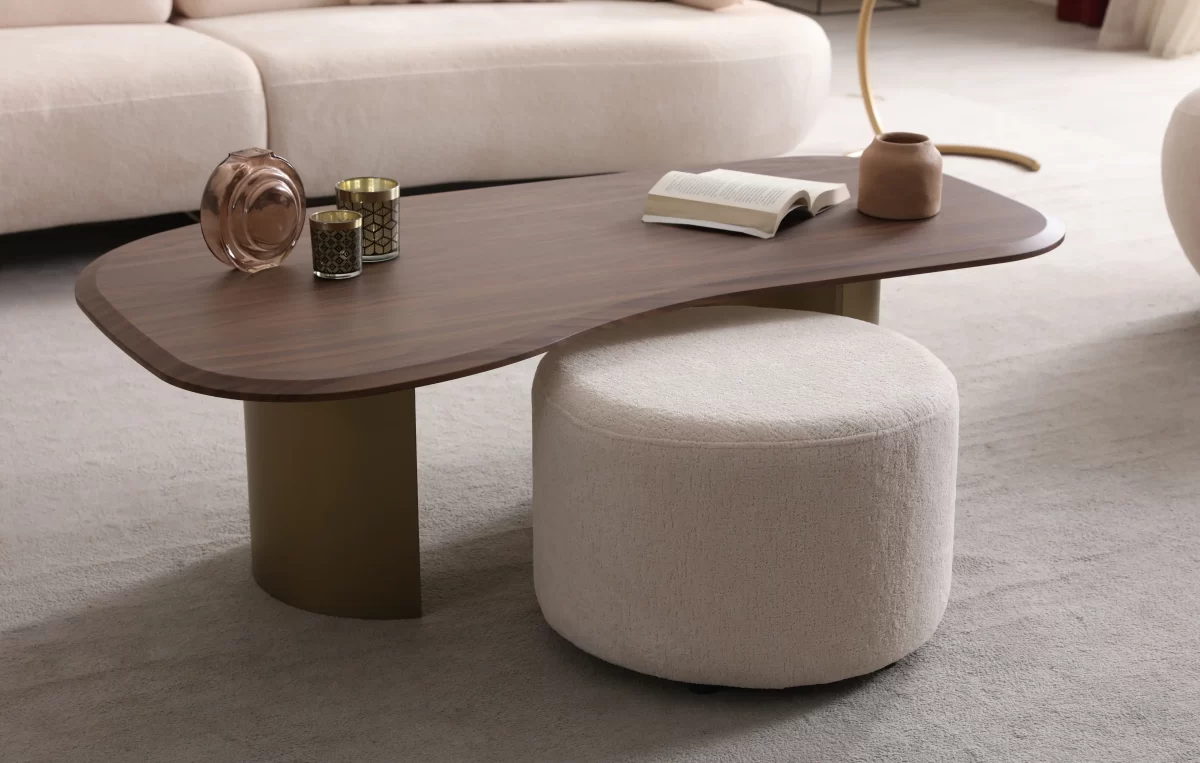 Selina Sofa Set - Image 13