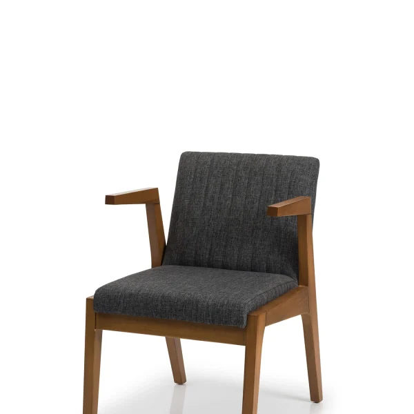 Stilska, moderna i elegantna stolica za hotele, kafiće i restorane.