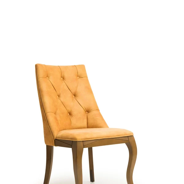 Stilska, moderna i elegantna stolica za hotele, kafiće i restorane.