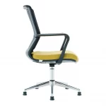 Visha Ch Office Guest Chair