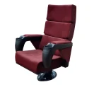 Fantom P30